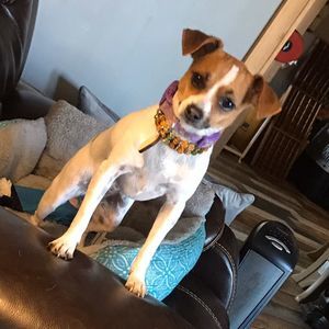 Meet your Posher, Debora